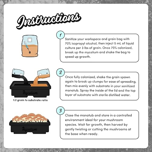 Miniatura 5 de Mycelium Kit de cultivo de hongos Plus I Sustrato CVG (fibra de coco, vermiculita, yeso) Mezcla patentada para cultivo de alto rendimiento, bolsa de