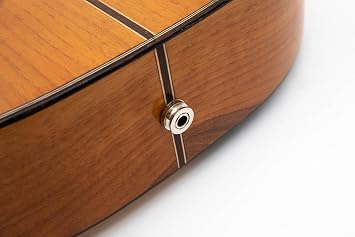 Professional Electric Arabic Oud Semi-Hollow Walnut Wood with Built-In Equalizer With Guitar pegs & soft case
