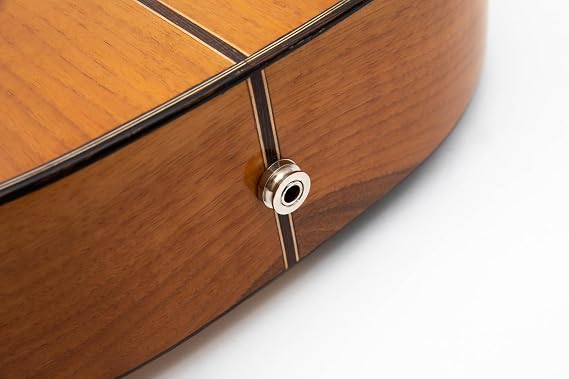 Professional Electric Arabic Oud Semi-Hollow Walnut Wood with Built-In Equalizer With Guitar pegs & soft case