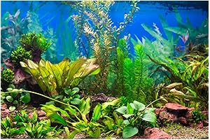 AWERT Fish Tank Wallpaper, Nature Landscape 48x24 inch Aquarium Background Poster