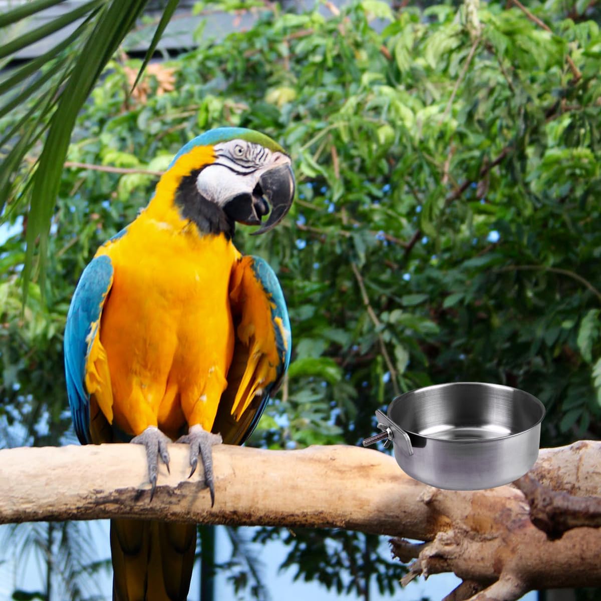 2 x Futternapf fr Vgel, Papageien : Amazon.de: Haustier