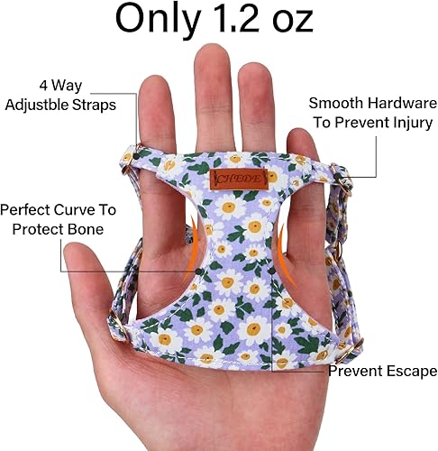 Miniatura 2 de Arnés para perro sin tirones, arnés ligero y suave para perro, arnés ajustable y correa para perro pequeño, con correa para perro, adecuado para