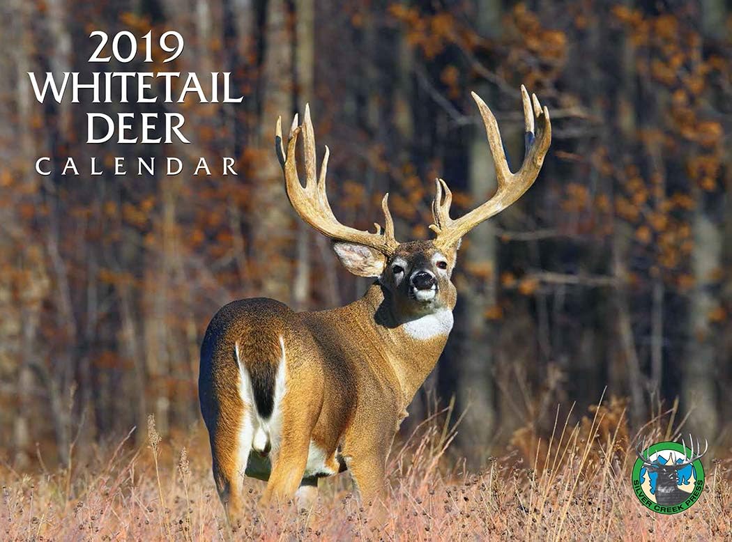 Amazon.com: 2019 Whitetail Deer Calendar : Office Products