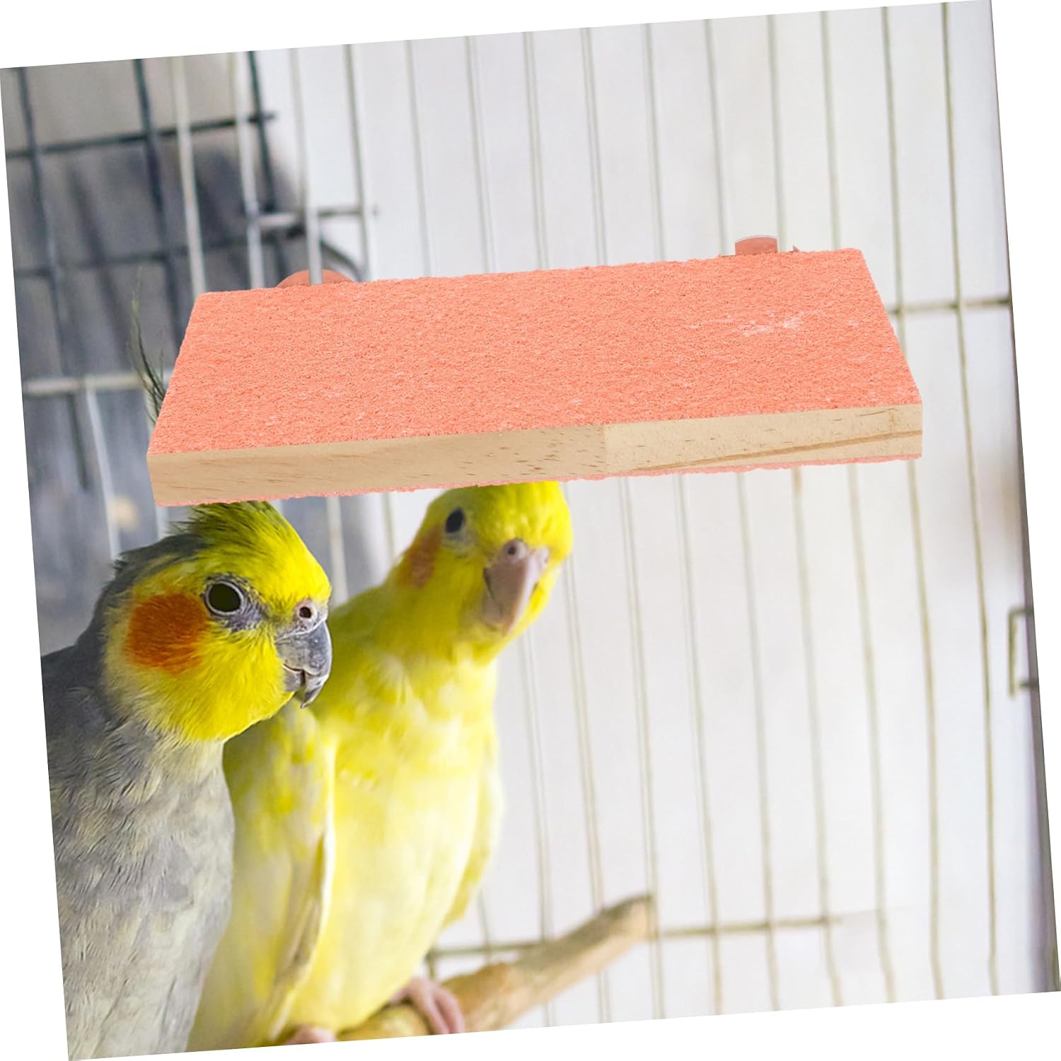 Toddmomy 2pcs Rectangular Wooden Parakeet Platforms for Bird Cages Bird Stands for Parrots Safe Resting Spots for Conures and Cockatiels Cage Accessories