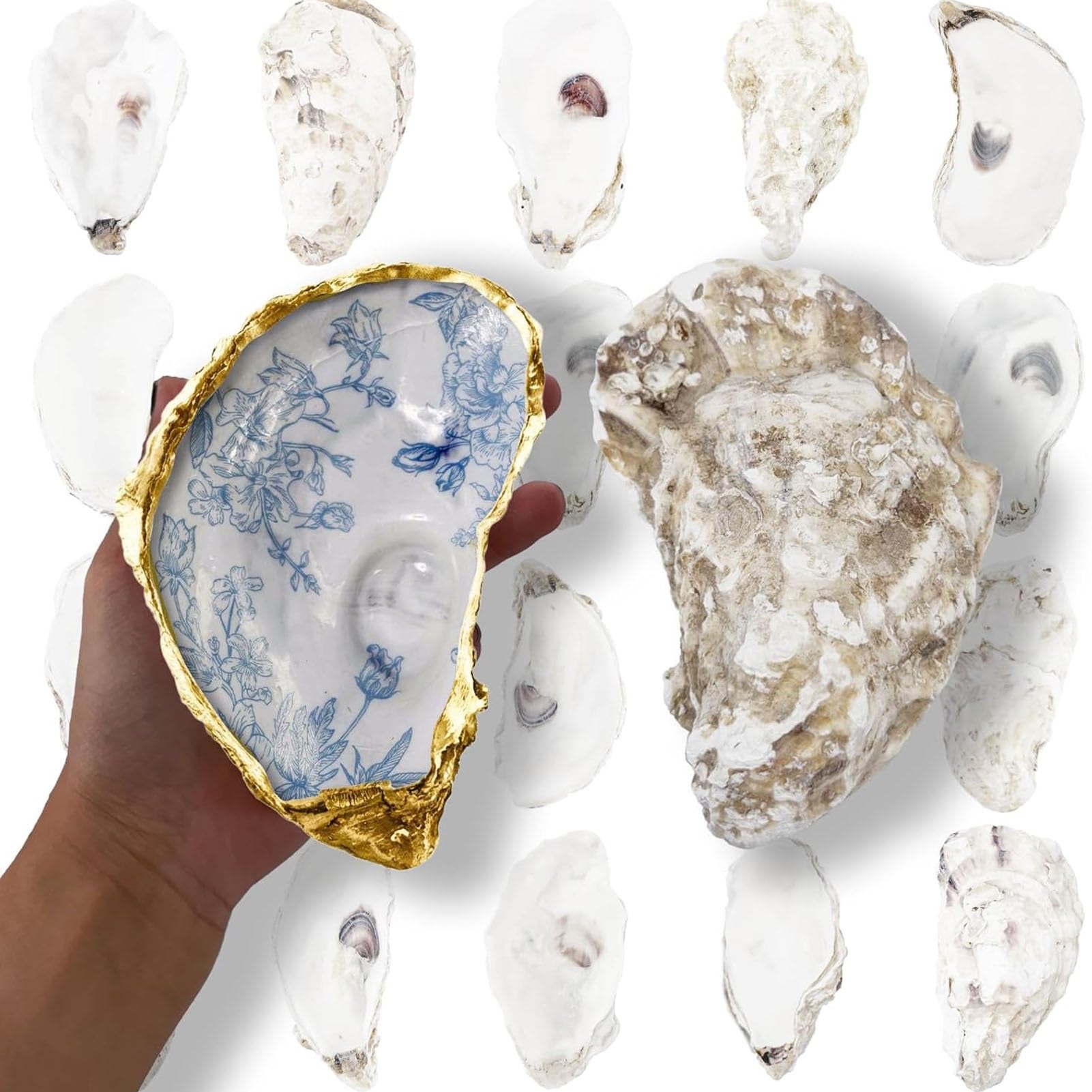 Conchas de ostra naturales a granel de alta resistencia y gran tamaño texturizado