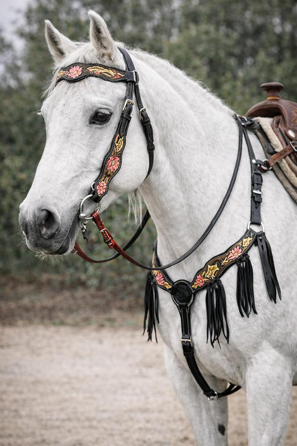 CHALLENGER Horse Horse Western Pink Lotus Hand-Painted Leather Bridle & Breast Collar Tack Set 78HR102B