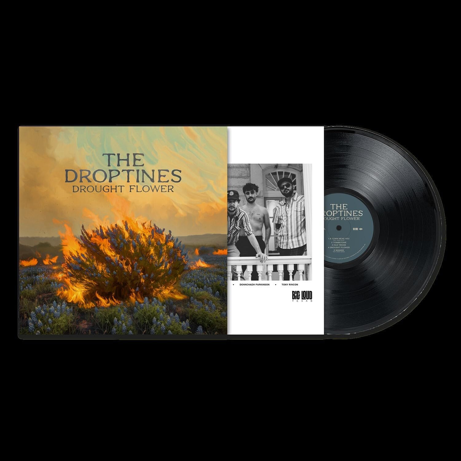 Drought Flower by The Droptines — album cover