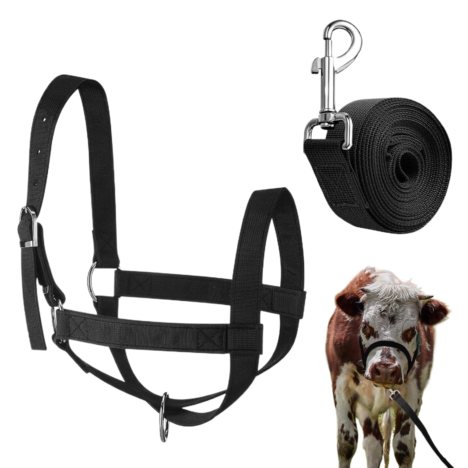 Licol de mollet en nylon robuste et longe premium pour l'élevage en ranch