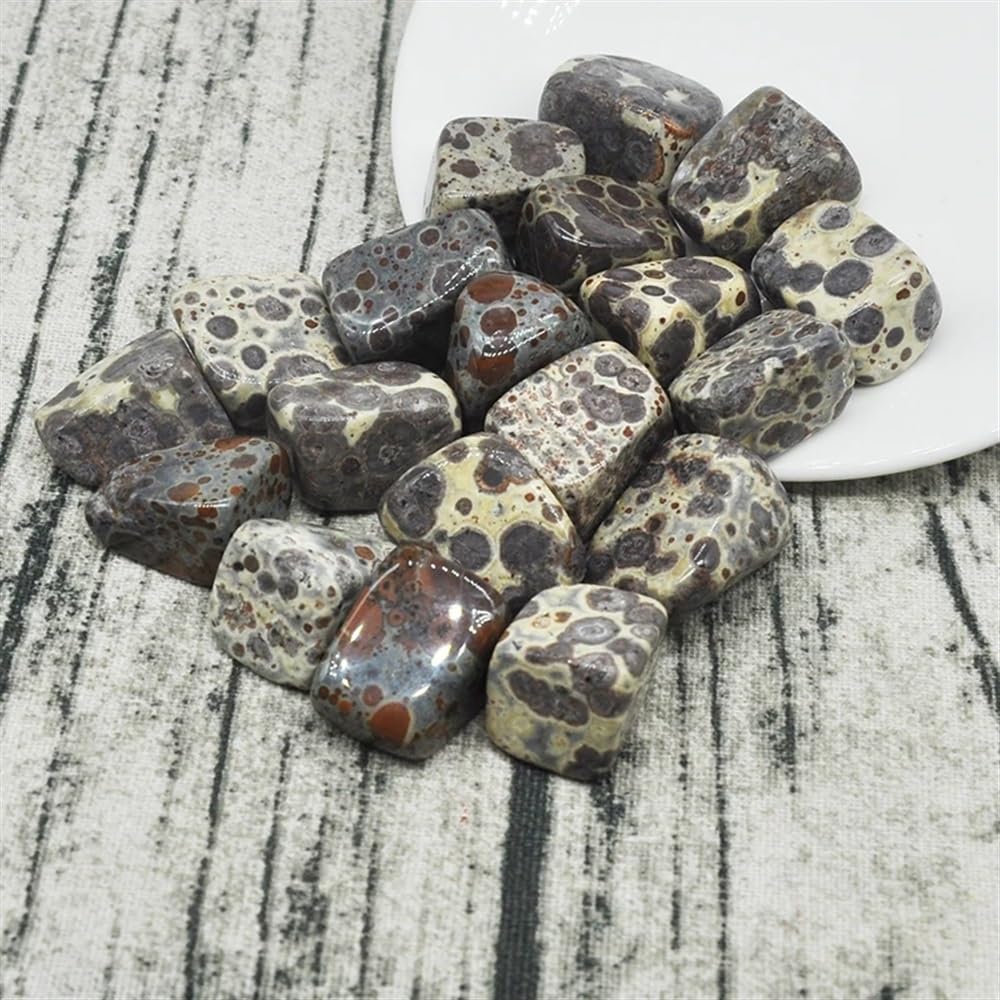 AtkitS Bellissimo Naturale variegato Fiocco di Neve Ghiaia Campione Dimensione Irregolare burattato Pietra curativa Cristal di Quarzo Minerale Decorazione Acquario Domestico(500g)