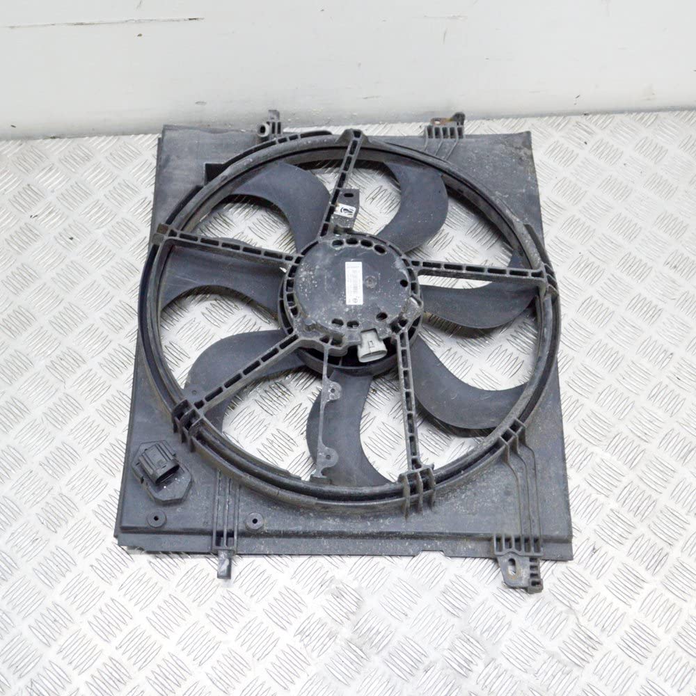 Viscoso Fan Engine Renault Kadjar (ha, Hl_) Fs2079 M167587 21481 