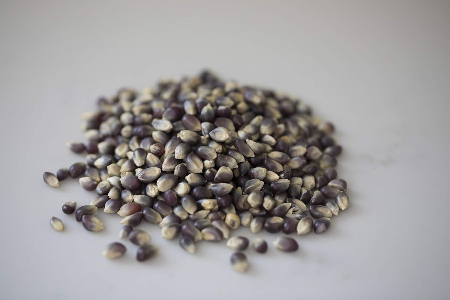 ish Country corn | 6 lb Bag | Blue corn Kernels | Old Fashed,