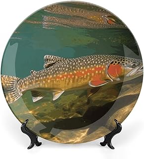 Bone China Decorative Plates for Display 6.1 Inch Brook Trout Fly Fishing Salad Plates Porcelain Dessert Plates Serving Dishes Art Decor Ornament for Living Room Table Kitchen