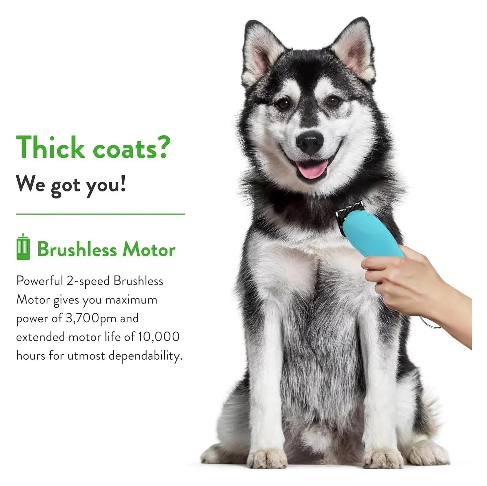 Juego De Cuchillas Profesionales De Cerámica Desmontables For Cortapelos For Perros, Compatible Con Andis, Compatible Con Oster A5, Compatible Con Wahl, Cortapelos Serie KM10(4FC9.5mm))