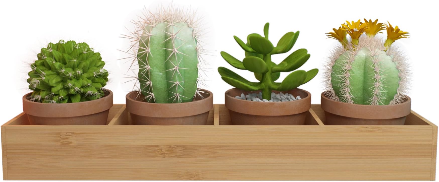 Rectangular Wooden (Bamboo) Window Planter Box / Four-sectioned Tray for Succulents, Herbs And Flowers