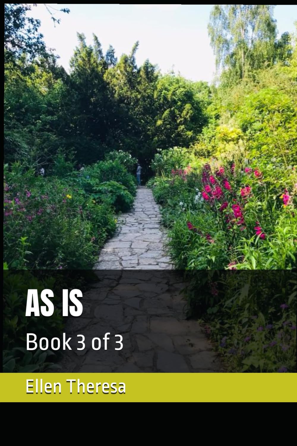 AS IS: Book 3 of 3 (AS IS Trilogy)