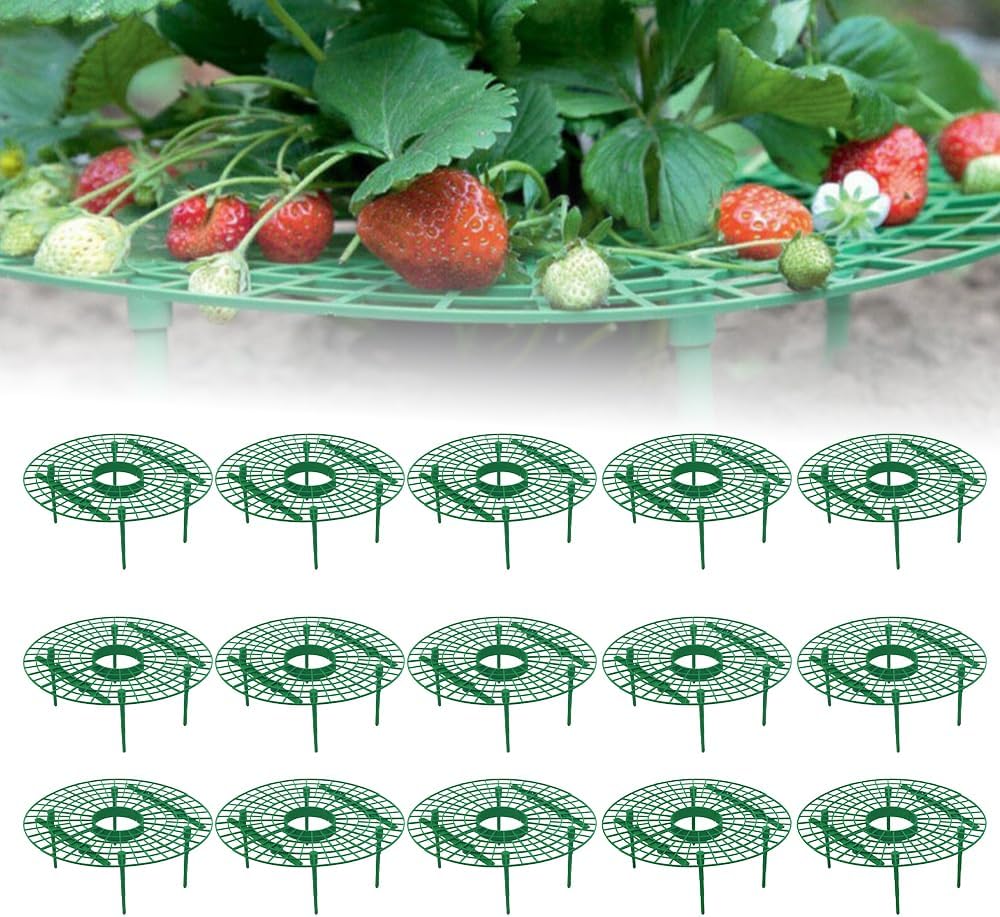 Strawberry Plant Support, Strawberry Supports Strawberry Trellis Strawberry Cages for Garden, Strawberry Growing Racks Strawberry Growing Frame Strawberry Stand Strawberry Holder (15PCS_Green)