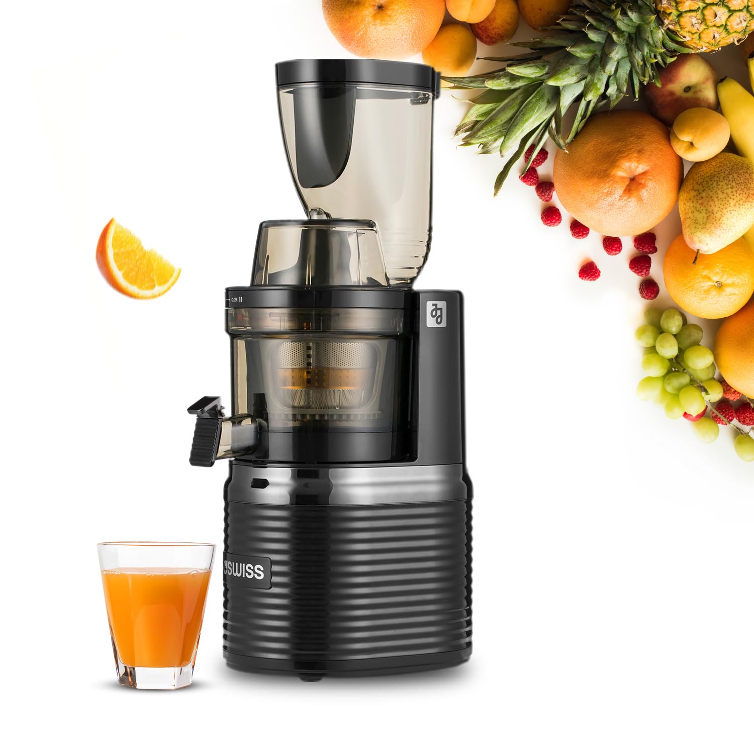 Silvergear Slow Juicer Entsafter 250W - Gesund Entsaften Mit 60 U/min