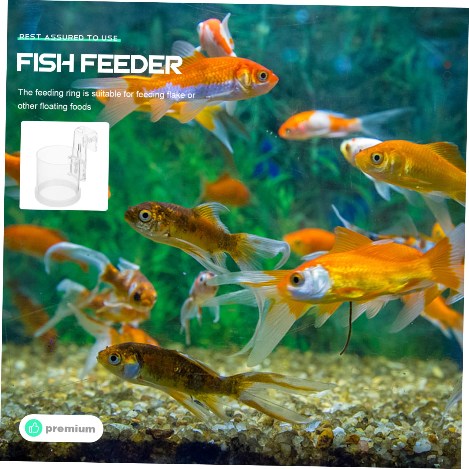 Kisangel 4piezas Alimentador De Peces Acuario Acrílico Anillo De Alimentación Flotante para Comida Escamas para Peces De Agua Dulce Decoración Práctica y Funcional para Tu Acuario