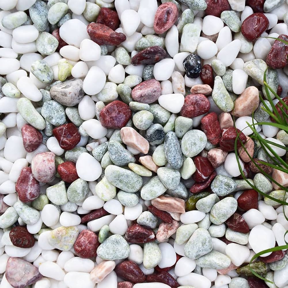 珪化木 超美品 20cm×5cm 625g Amazon | 最高級彩光 五色砂利 5分 10kg | 砂利