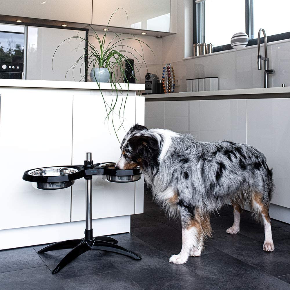 PetTec® Hundenapf erhöht Grosse Hunde [2 x 2,5L, Schwarz] - Futternapf Fressnapf Hund erhöht - Futterstation höhenverstellbar - Erhöhter Futternapf Hund - Dog Bowl - Hundebar - Futterbar Hundenäpfe