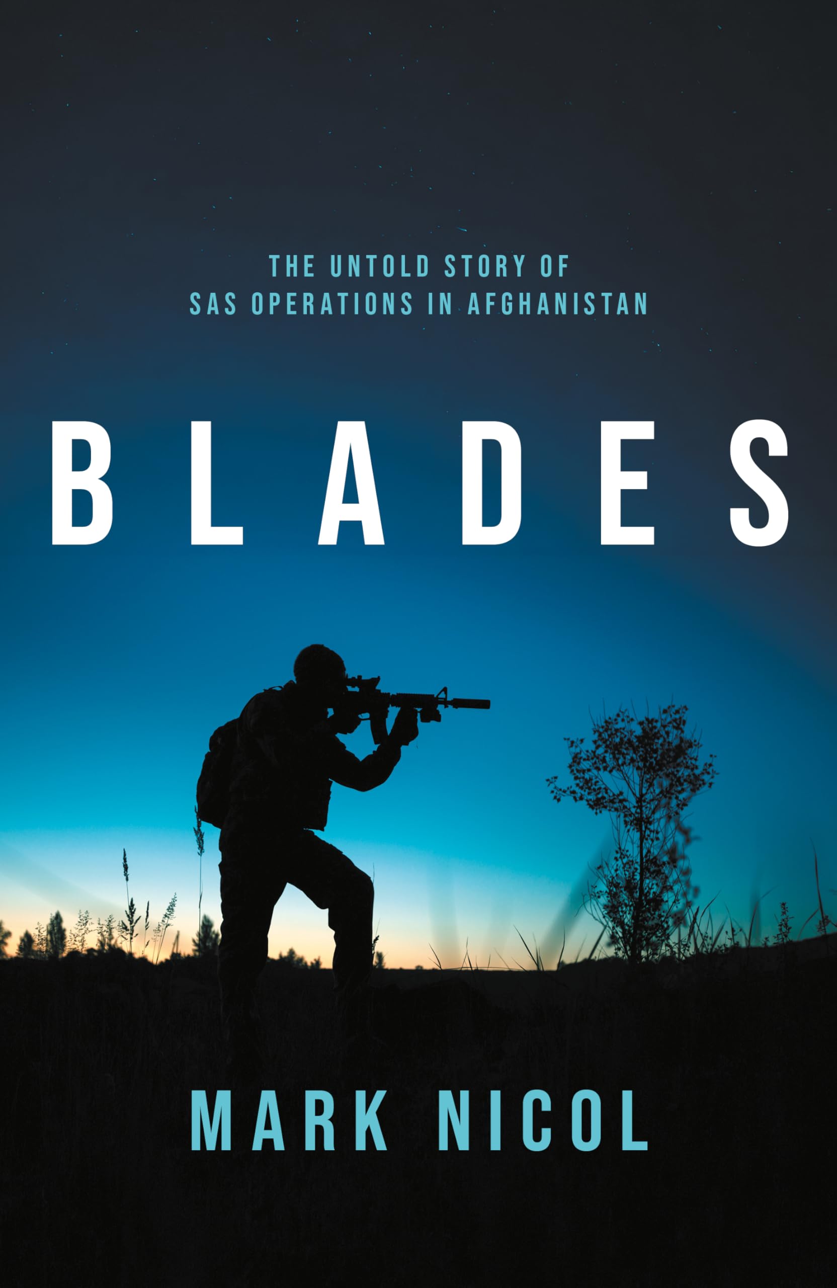 Blades: The Untold Story of SAS Operations in Afghanistan
