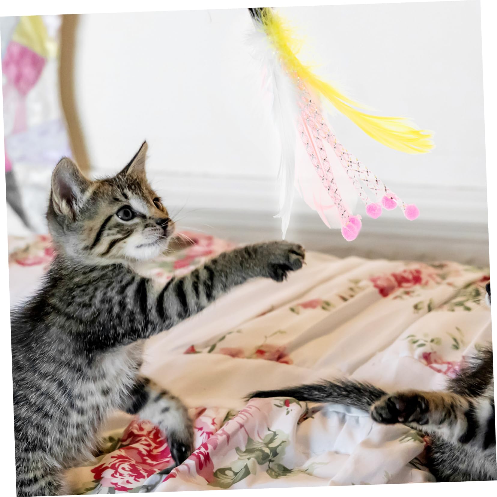 40stücke Teiliges Katzenangel Mit Federn Interaktives Spielzeug Für Drinnen Fördert Bewegung Und Bindung Zwischen Katze Und Besitzer Geeignet Für Altersgruppen