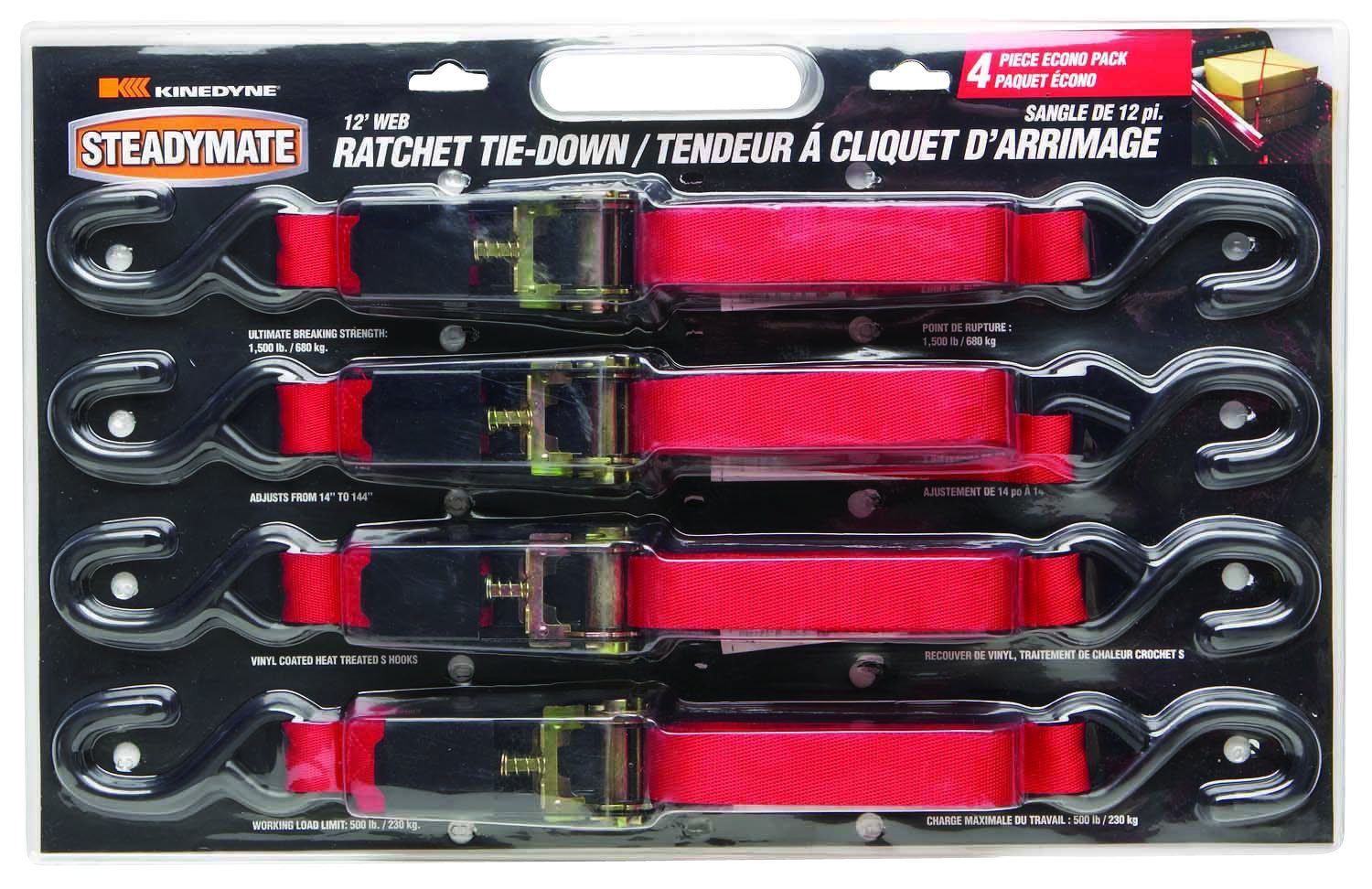 KINEDYNE CANADARatchet Buckle with 12' Web 12'