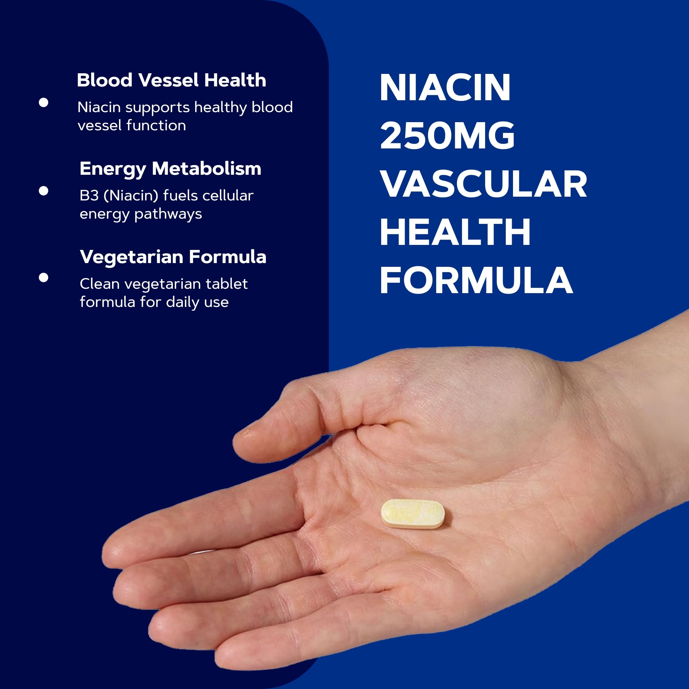 GNC Niacin 250mg, Supports Blood Vessel Health, 100 Vegetarian Tablets — Amazon image 4