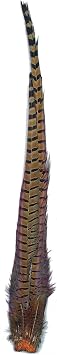Zucker Feather Products RNM-N Ring Neck Pheasant Complete Tail, Natural