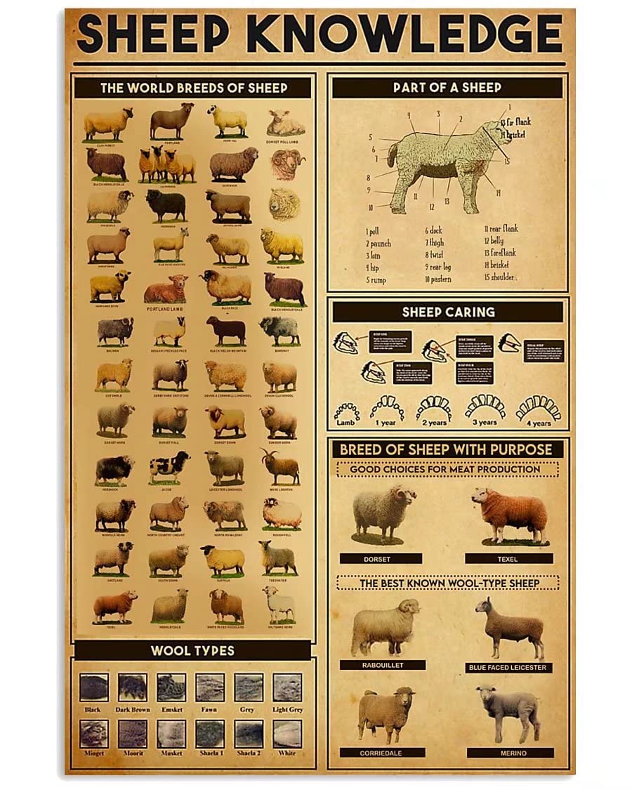Sheep Knowledge Vintage Art Metal Tin Sign Home Decor Sheep Sign Vintage Metal Sign For Home Kitchen Garden Yard Farm Ranch Countryside Wall Decor Retro Poster 12x16 Inch