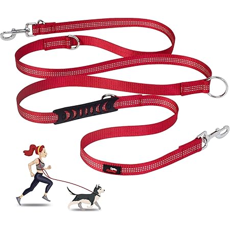 dog leads on amazon