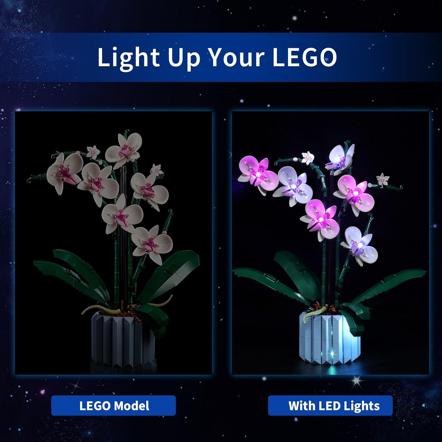 LED Light Kit for Lego 10311 Orchid Plant, ONLY Light Kit, Lego Model is NOT Included (Standard)