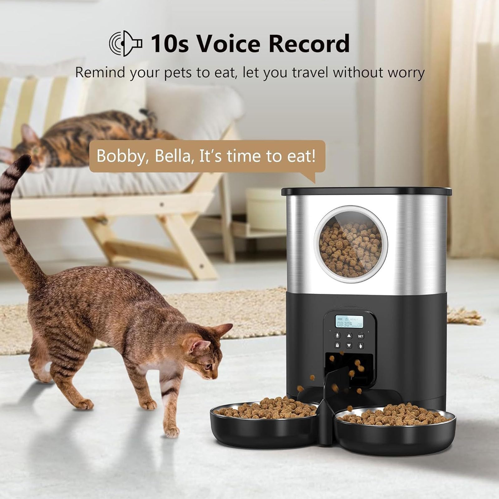 Sorandy Comedero Automático para Gatos, Comedero para Gatos de 5 litros de Capacidad, Cuantitativo Temporizado con Cuencos de Acero Inoxidable y Ventana Grande para Comprobar el Nivel de Alimentos,