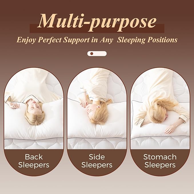 Set 2 Almohadas Pluma de Ganso Queen 20x30 Pulgadas miniatura 8