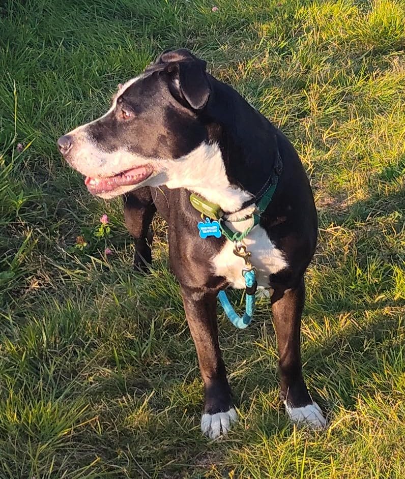 Jugbow remote with simple 3-button layout