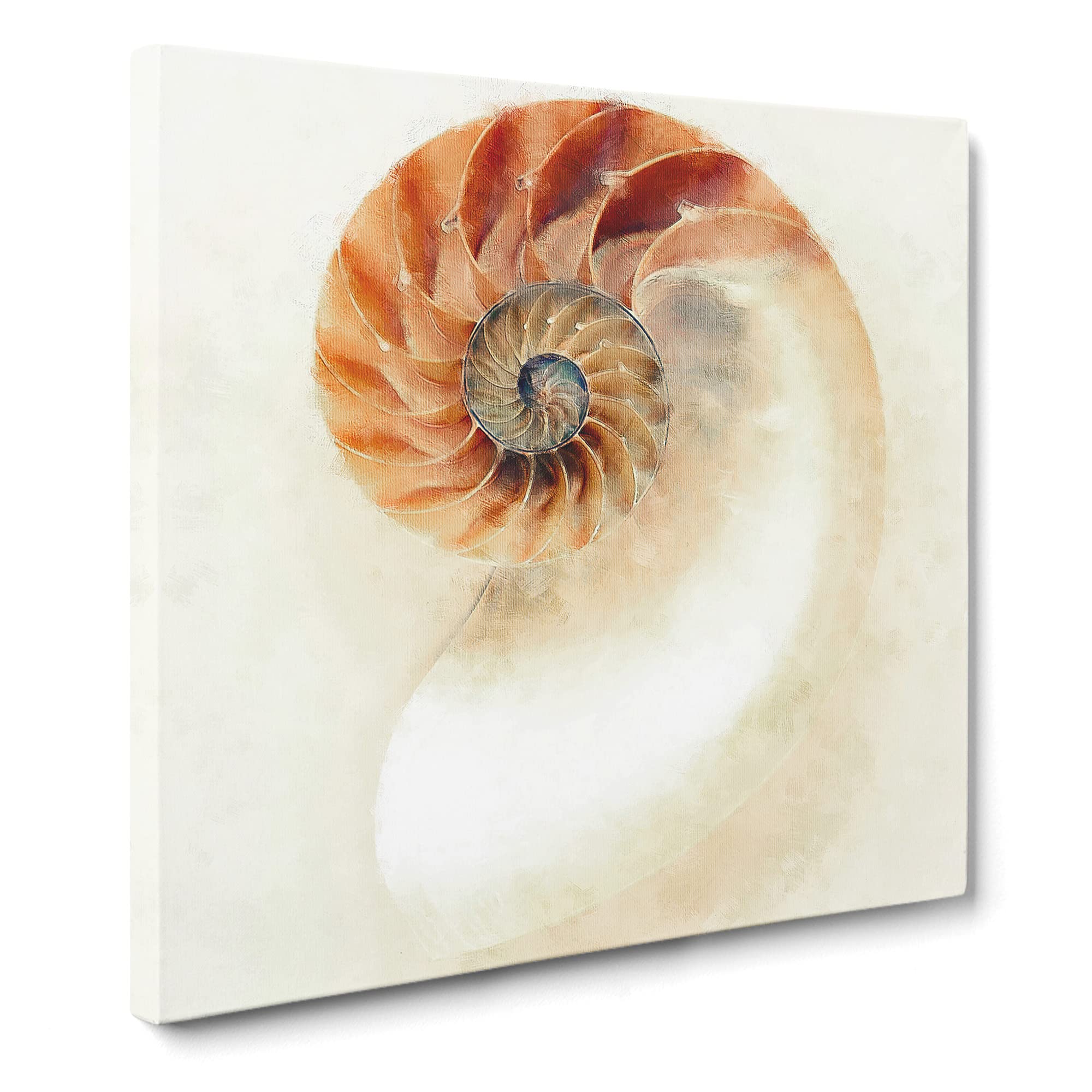 Mother Of Pearl Shell Canvas Print, Mixed, 35L x 35W cm