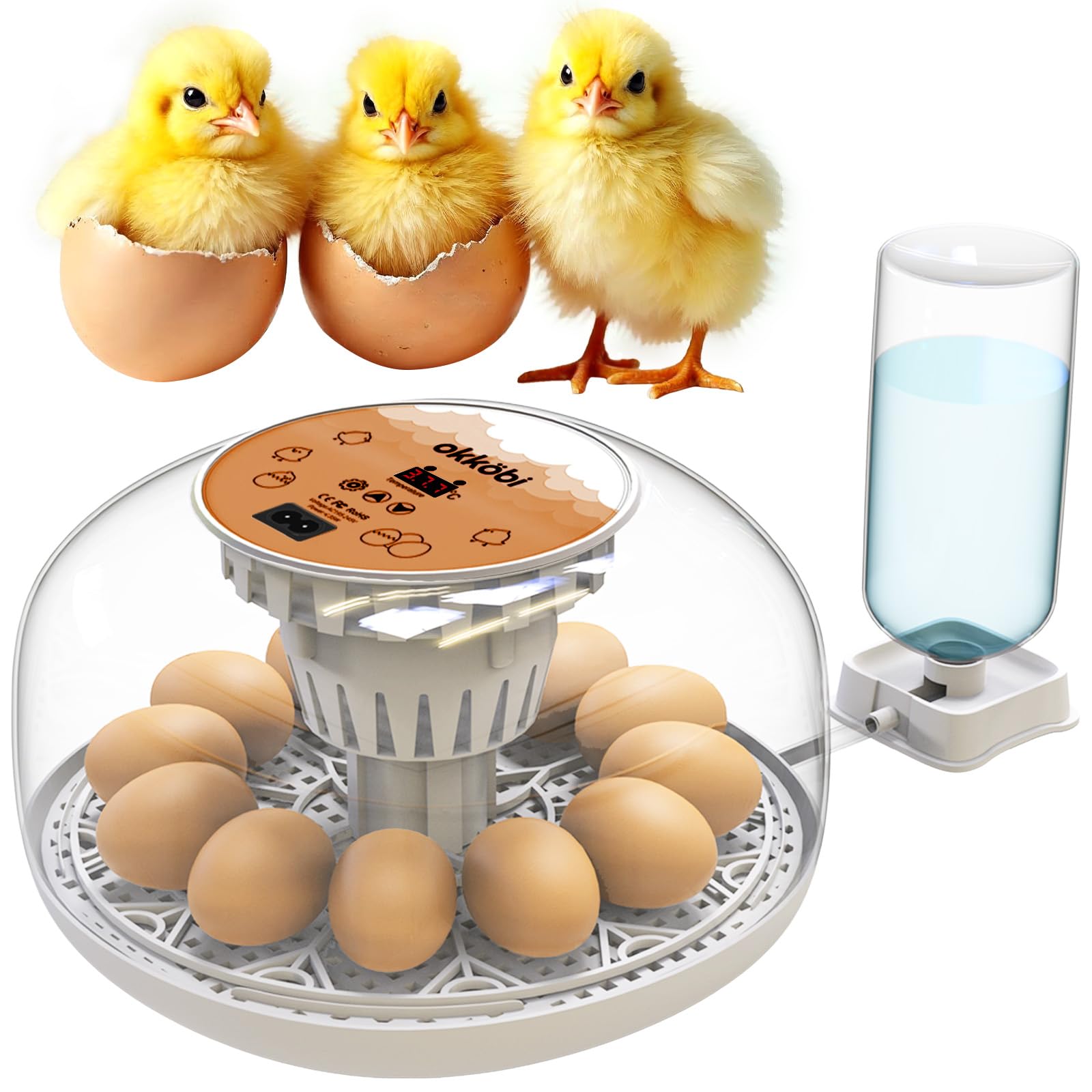 Okkobi M12 Egg Incubator with Automatic Turner and Humidity Control - 12/24 Eggs, 360° View, Easy to Use and Clean - Incubadora de Huevos de Gallina - Made for US - White & Orange