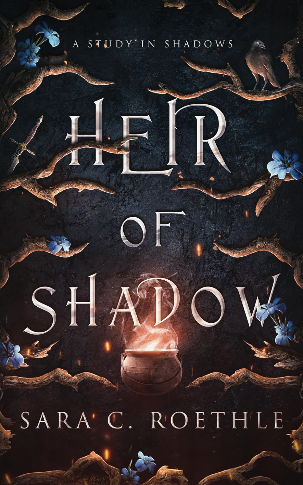 Heir of Shadow (A Study in Shadows)