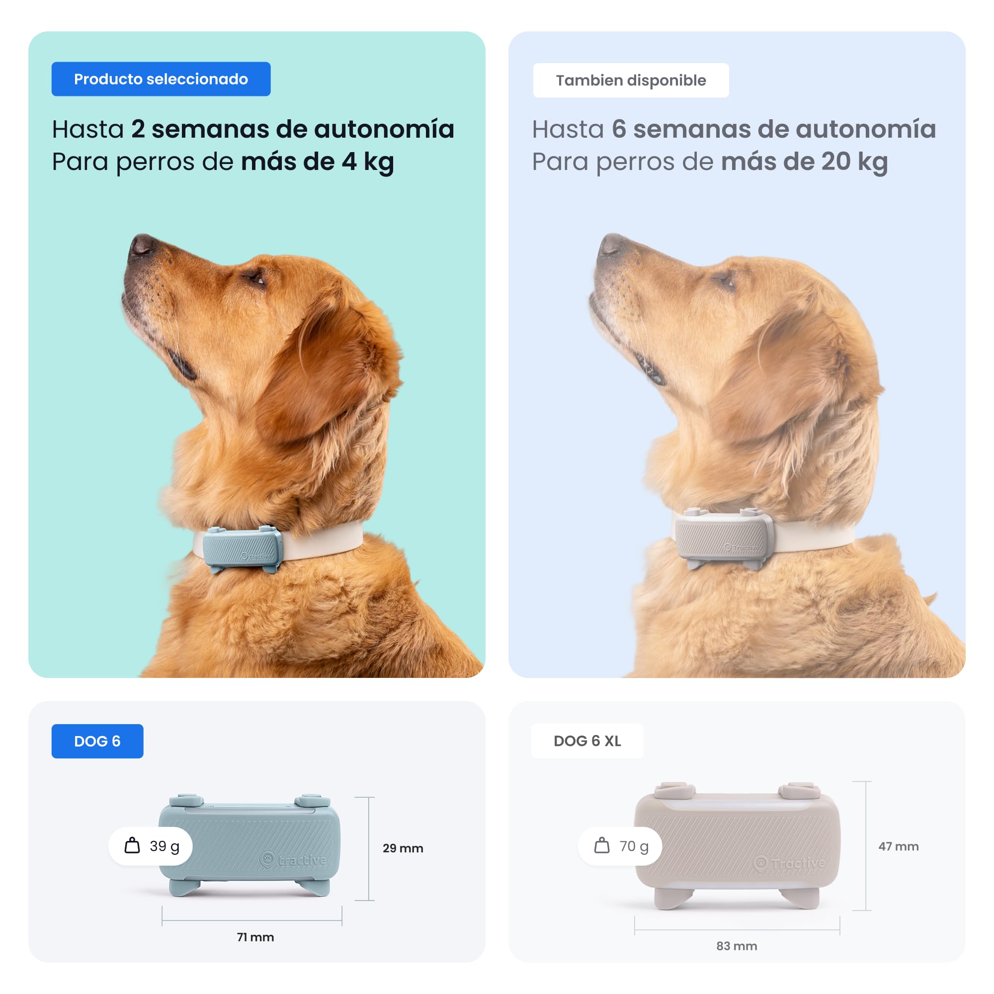 Tractive - GPS perros | 2025 Edición | N.º 1 del mercado | Localización en tiempo real | Alertas antifuga | Monitor de actividad | Avisos de salud | Seguimiento de ladridos (Menta)