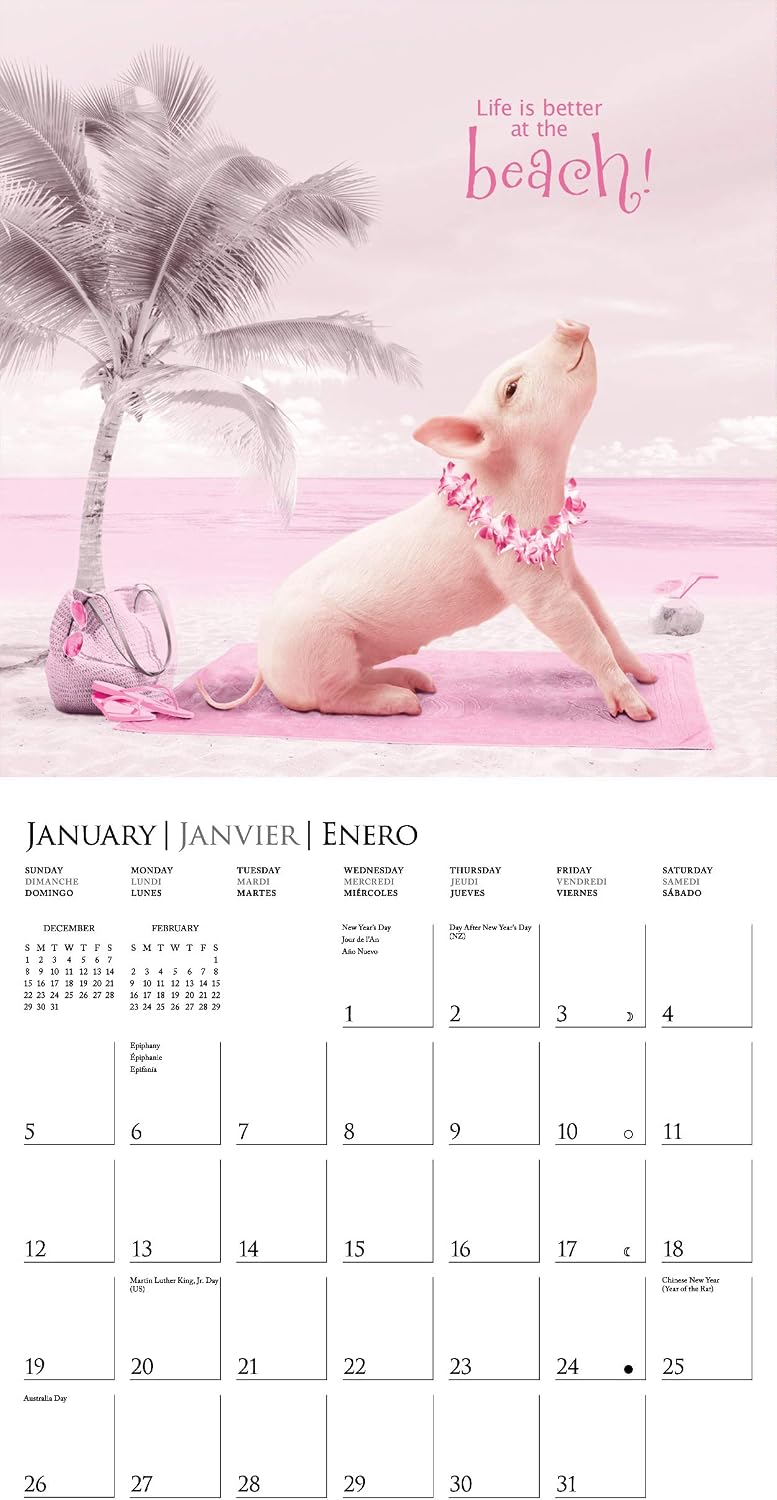 Graphique Pretty In Pink Hangable Office Wall Calendar - 16-Month 2020 Calendar, 12"x12" w/ 3 Languages, 4-Month Preview, & Marked Holidays