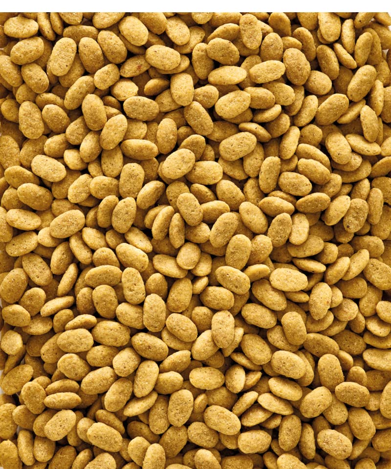 Original Parrot Pellet, 1 Kilogram