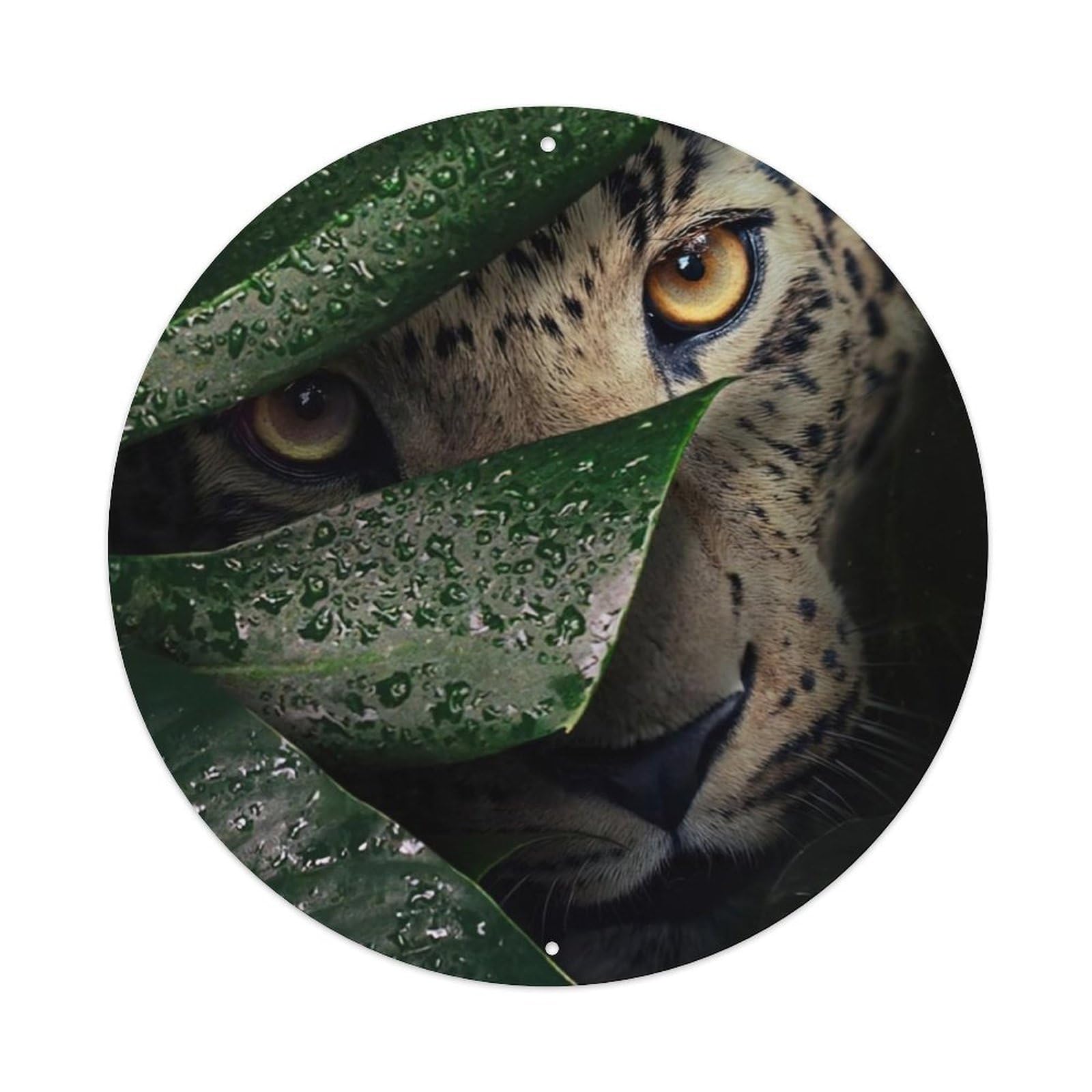 Animal Artwork Persian Leopard 1 Vintage Metal Tin Sign Plaque Wall Decor for Cafe, Club Bar, Office, Garden Metal Poster 8x8Inch