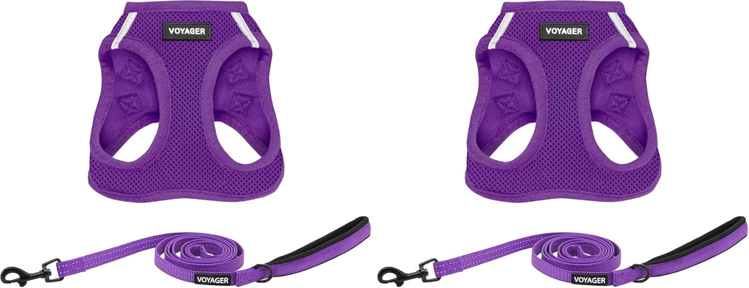 Voyager Step-in Air All Weather Mesh Harness and Reflective Dog 5 ft Leash Combo with Neoprene Handle, for Small, Medium and Large Breed Puppies by Best Pet Supplies - Leash Harness (Purple), L