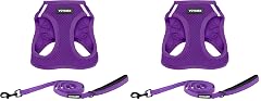Voyager Step-in Air All Weather Mesh Harness and Reflective Dog 5 ft Leash Combo with Neoprene Handle for