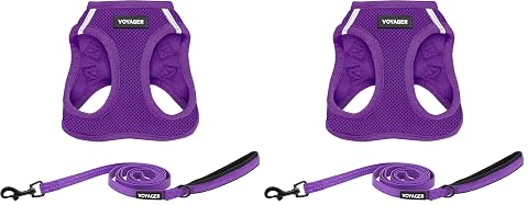 Voyager Step-in Air All Weather Mesh Harness and Reflective Dog 5 ft Leash Combo with Neoprene Handle for