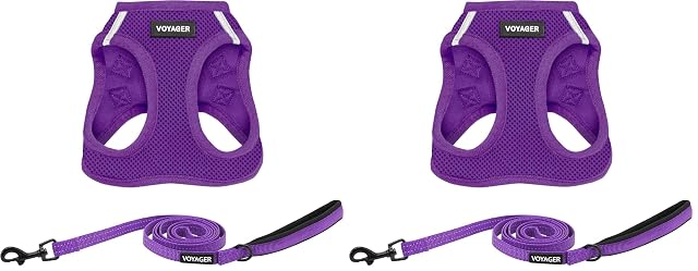 Voyager Step-in Air All Weather Mesh Harness and Reflective Dog 5 ft Leash Combo with Neoprene Handle for