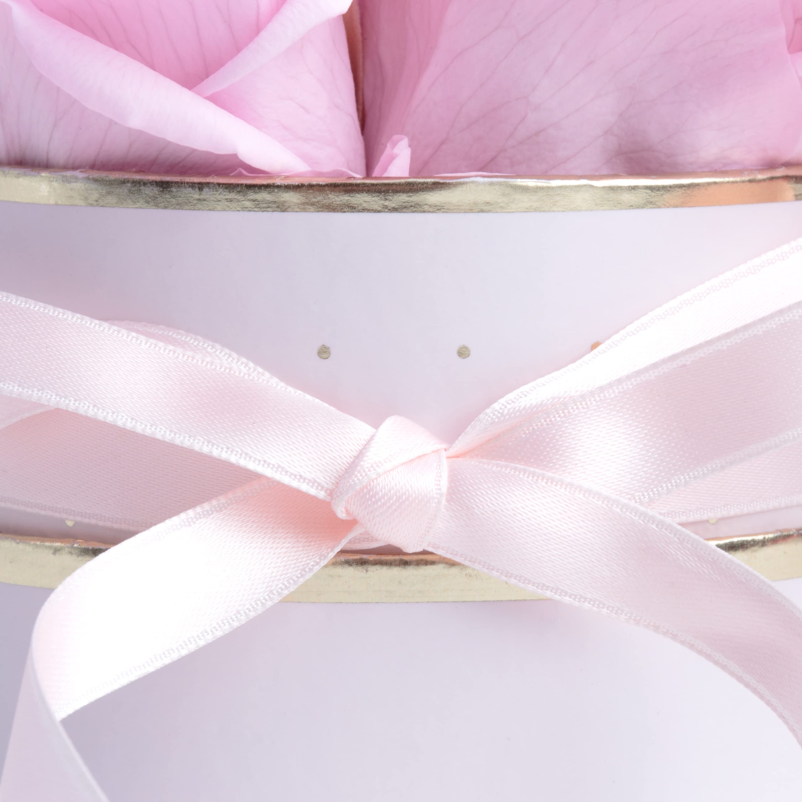 Boîte Ronde de Roses éternelles stabilisées idée Cadeaux pour Femmes pour Toutes Occasions (Rose-Rose)