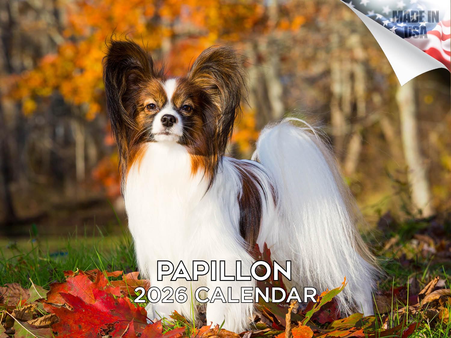 Calendario Papillon 2024 2025 – Calendario mensual de pared de raza de perro – 12 x 18 pulgadas abierto – Papel grueso que no se corre – Regalo – Calendario académico para profesores, organización y