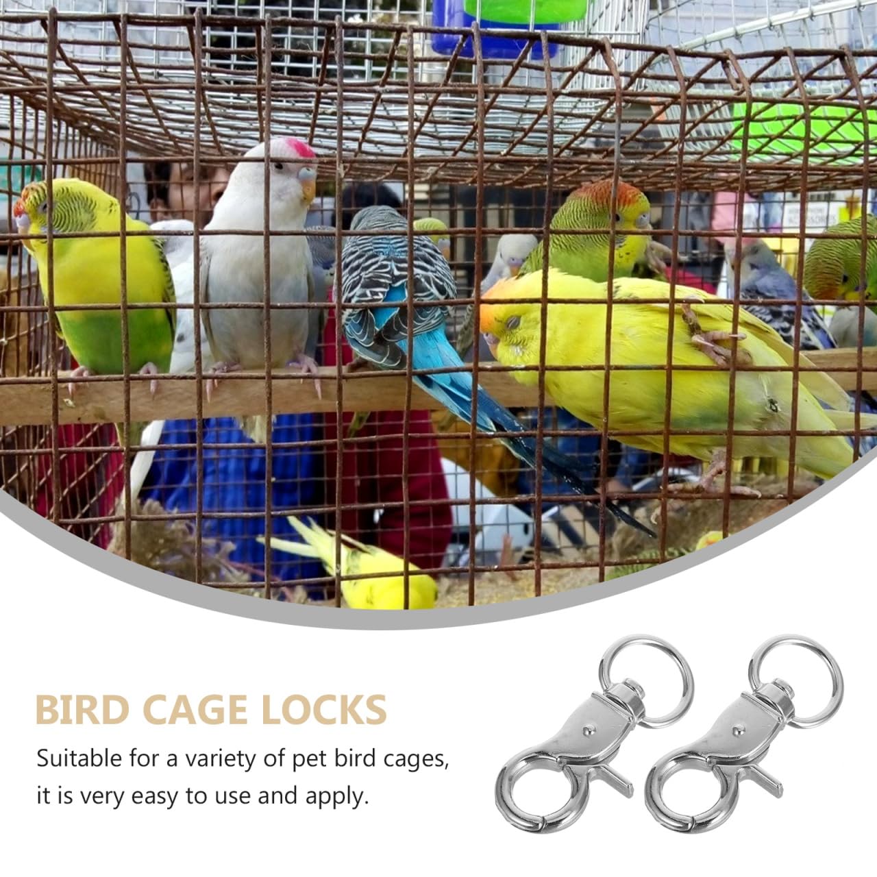 Beavorty 5 Pezzi Blocco Gabbia per Uccelli serrature per Porta di Gabbia di Coniglio Accessori per Uccelli per Gabbie chiusure di Aragosta Gancio Piccolo Lucchetto per Gabbia per Uccelli Pappagallo