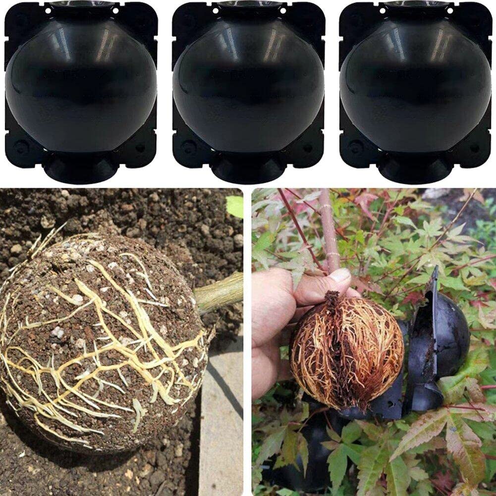 Wudaizhi 10pcs De Diamètre 5cm Plant Rocoing Équipement De Balle De Balle Haute Pression Propagation Case De Reproduction pour Le Camion De Jardin